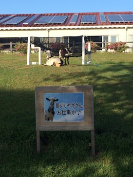 マザー牧場に投稿された画像（2020/5/17）