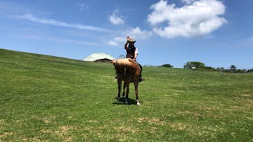 マザー牧場に投稿された画像（2020/5/17）