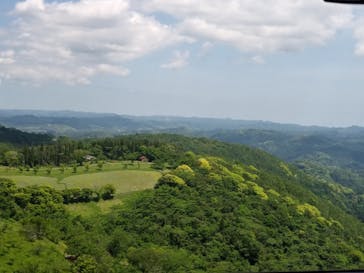 マザー牧場に投稿された画像（2020/5/17）