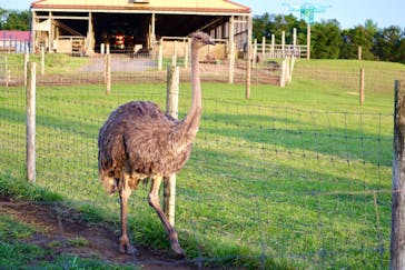 マザー牧場に投稿された画像（2020/5/17）