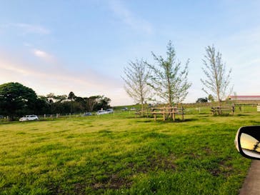 マザー牧場に投稿された画像（2020/5/17）