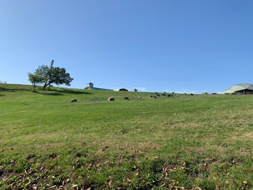 マザー牧場に投稿された画像（2020/5/17）