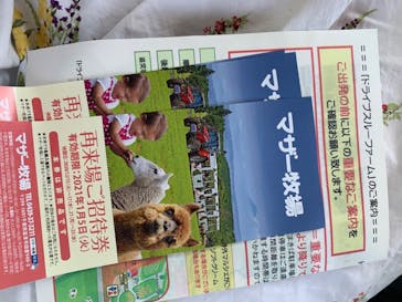 マザー牧場に投稿された画像（2020/5/17）