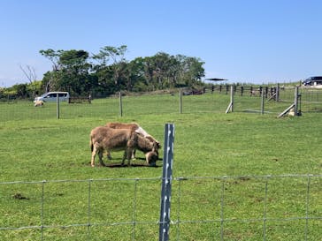 マザー牧場に投稿された画像（2020/5/17）