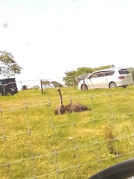 マザー牧場に投稿された画像（2020/5/18）