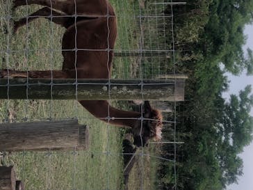 マザー牧場に投稿された画像（2020/5/18）