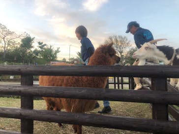 マザー牧場に投稿された画像（2020/5/18）