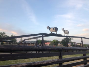 マザー牧場に投稿された画像（2020/5/18）