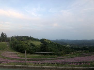 マザー牧場に投稿された画像（2020/5/18）