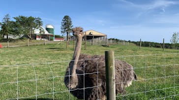 マザー牧場に投稿された画像（2020/5/18）