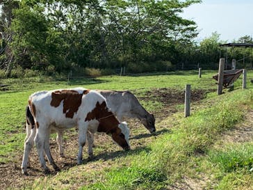 マザー牧場に投稿された画像（2020/5/18）