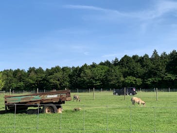 マザー牧場に投稿された画像（2020/5/18）