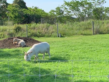 マザー牧場に投稿された画像（2020/5/18）