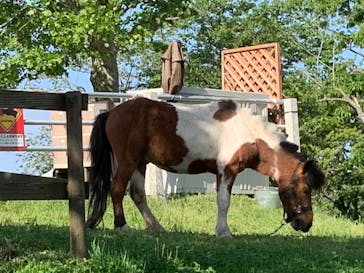 マザー牧場に投稿された画像（2020/5/18）