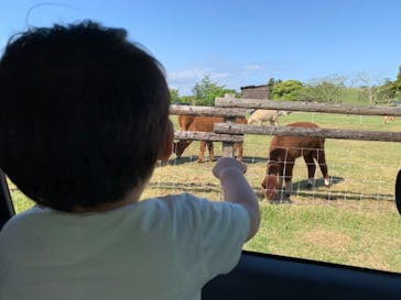 マザー牧場に投稿された画像（2020/5/18）
