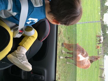 マザー牧場に投稿された画像（2020/5/20）