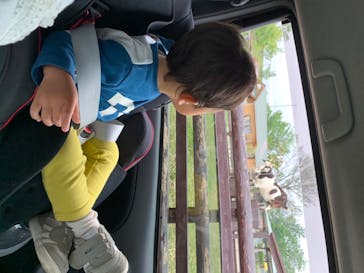 マザー牧場に投稿された画像（2020/5/20）