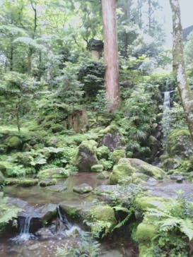 モダン湯治 おんりーゆーに投稿された画像（2020/5/21）