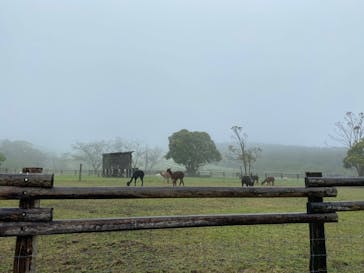 マザー牧場に投稿された画像（2020/5/22）