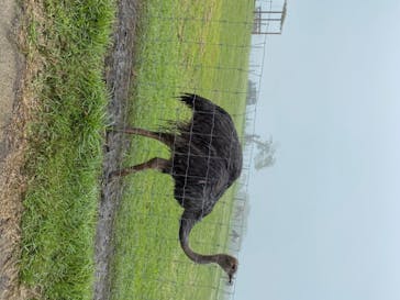 マザー牧場に投稿された画像（2020/5/22）