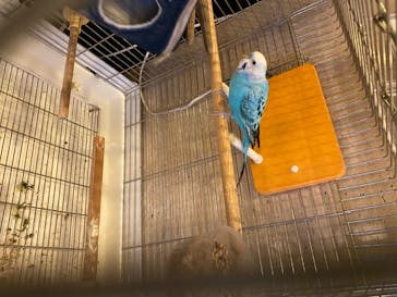 サウナリゾート オリエンタルに投稿された画像（2020/5/23）