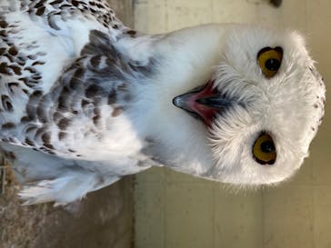 しろとり動物園に投稿された画像（2020/5/23）