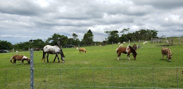 マザー牧場に投稿された画像（2020/5/24）