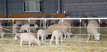 マザー牧場に投稿された画像（2020/5/24）