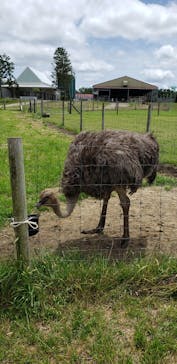 マザー牧場に投稿された画像（2020/5/24）