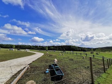 マザー牧場に投稿された画像（2020/5/24）