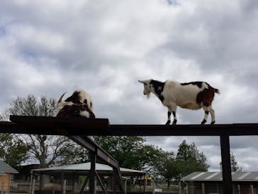 マザー牧場に投稿された画像（2020/5/24）