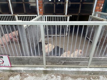 マザー牧場に投稿された画像（2020/5/24）