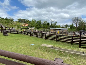 マザー牧場に投稿された画像（2020/5/24）