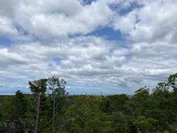 マザー牧場に投稿された画像（2020/5/24）