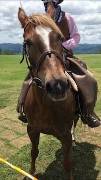 マザー牧場に投稿された画像（2020/5/24）