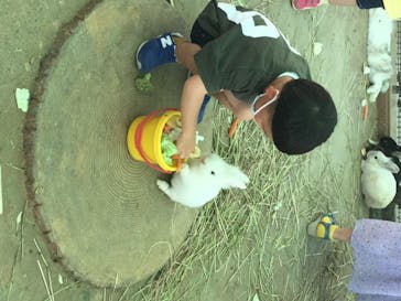 しろとり動物園に投稿された画像（2020/5/24）