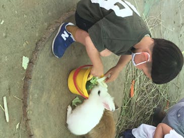 しろとり動物園に投稿された画像（2020/5/24）