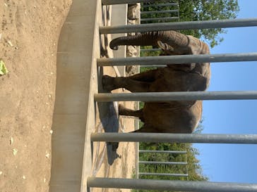 しろとり動物園に投稿された画像（2020/5/24）