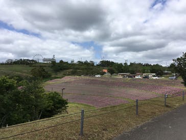 マザー牧場に投稿された画像（2020/5/24）