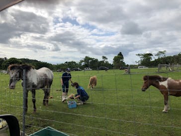 マザー牧場に投稿された画像（2020/5/24）