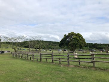 マザー牧場に投稿された画像（2020/5/24）