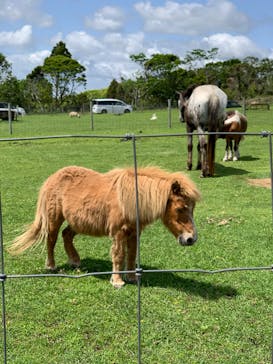 マザー牧場に投稿された画像（2020/5/24）