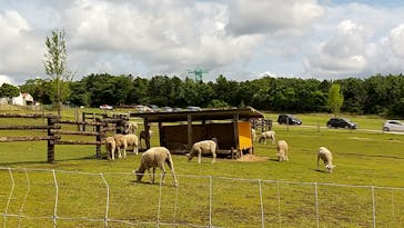 マザー牧場に投稿された画像（2020/5/24）