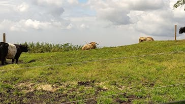 マザー牧場に投稿された画像（2020/5/24）