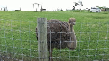 マザー牧場に投稿された画像（2020/5/24）