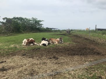 マザー牧場に投稿された画像（2020/5/25）