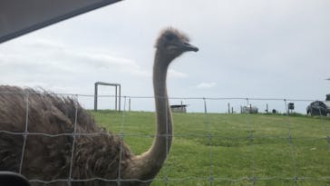 マザー牧場に投稿された画像（2020/5/25）