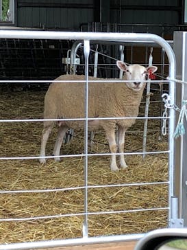 マザー牧場に投稿された画像（2020/5/25）