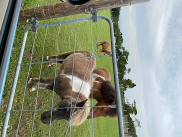 マザー牧場に投稿された画像（2020/5/25）