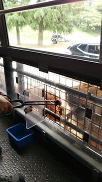 群馬サファリパークに投稿された画像（2020/5/26）